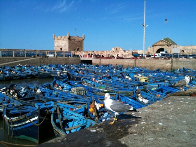 Essaouira port and blue boats