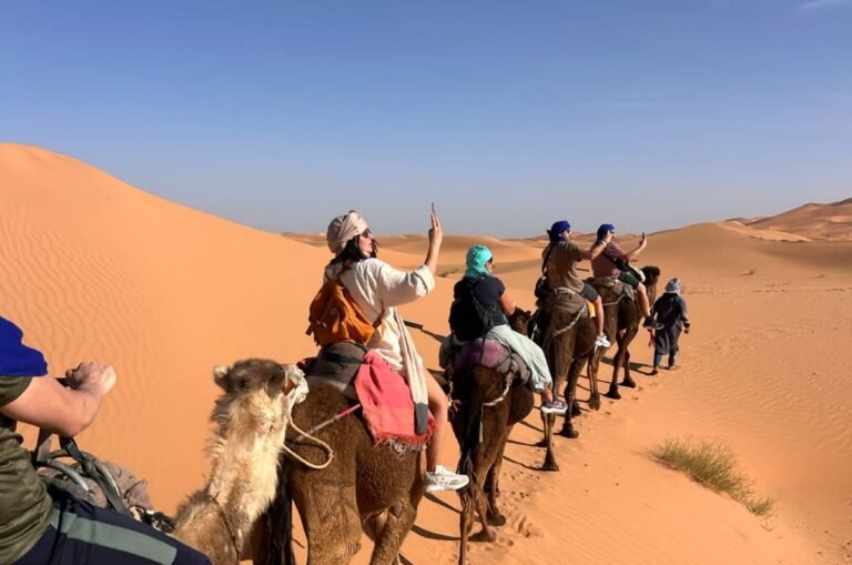 WhatsApp Image 2025-04-29 at 16.47.31 (1)