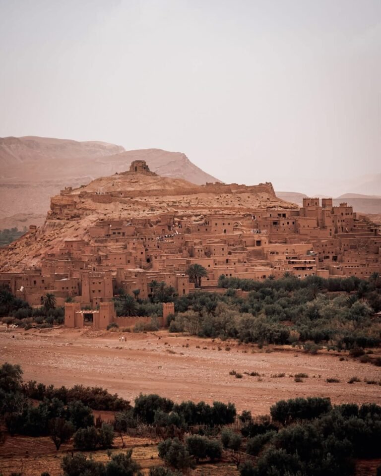 WhatsApp Image 2025-12-23 at 10.59.40