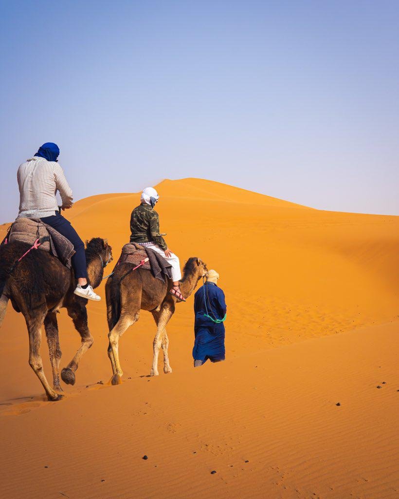 Golden Dunes Travelers