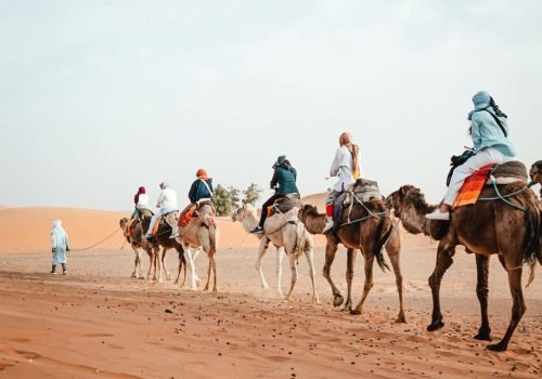 WhatsApp Image 2026-04-06 at 8.14.15 PM (1)